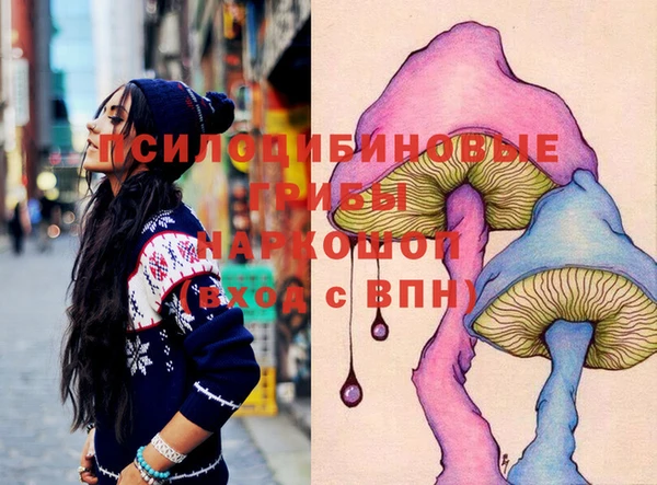 МДПВ Навашино