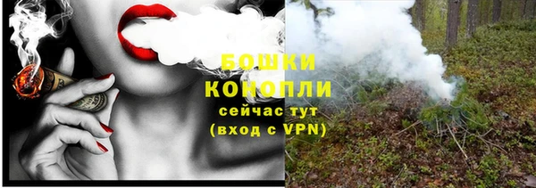 сатива Сафоново