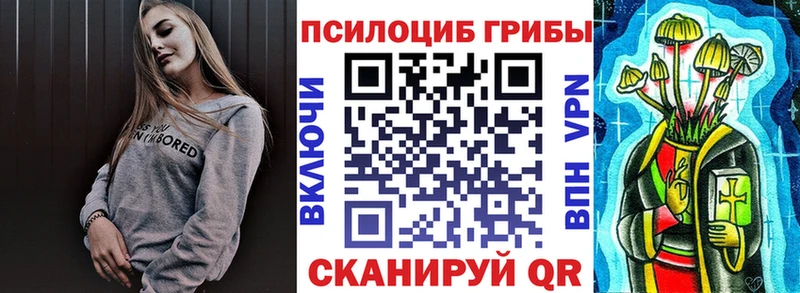 Псилоцибиновые грибы Psilocybe  Петровск-Забайкальский 